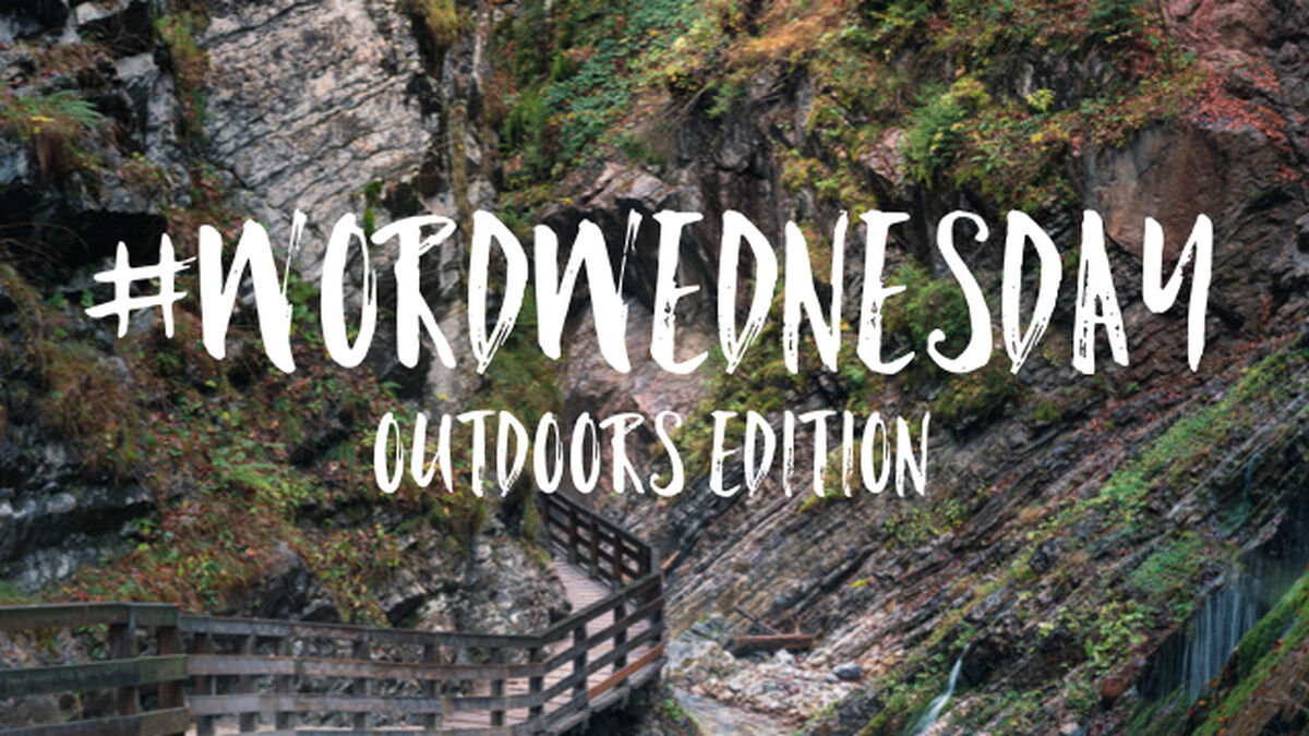 Word Wednesdays Outdoors Edition image number null
